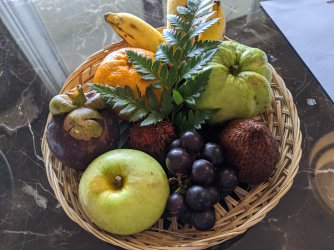 IMG_20200310_135508.jpg IMG_20200310_135508.jpg