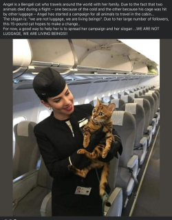 Screen Shot 2024-09-04 at 4.14.59 pm.png Screen Shot 2024-09-04 at 4.14.59 pm.png