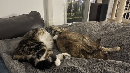 IMG_9952.jpeg IMG_9952.jpeg