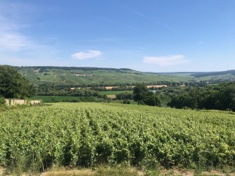 IMG_0696.jpeg IMG_0696.jpeg