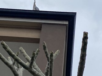 IMG_0635.jpeg IMG_0635.jpeg