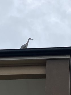 IMG_0637.jpeg IMG_0637.jpeg