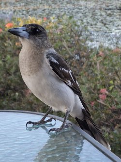 1000000826.jpg 1000000826.jpg