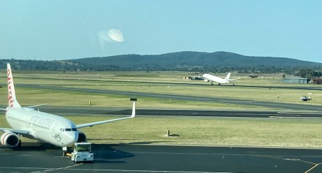 IMG_2687.jpeg IMG_2687.jpeg