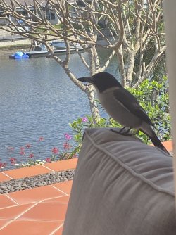 IMG_0963.jpeg IMG_0963.jpeg