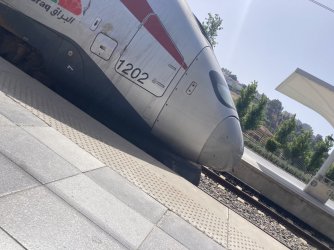 IMG_3739.jpeg IMG_3739.jpeg