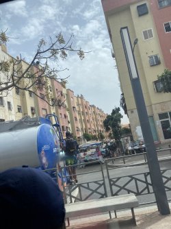 IMG_3837.jpeg IMG_3837.jpeg