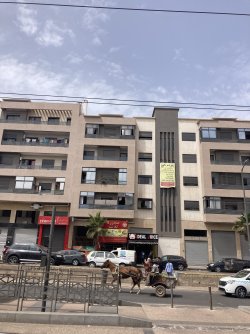 IMG_3839.jpeg IMG_3839.jpeg