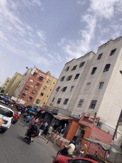 IMG_3838.jpeg IMG_3838.jpeg