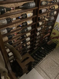 IMG_4189.jpeg IMG_4189.jpeg