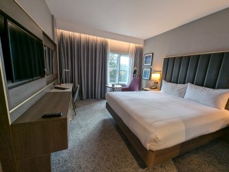 PXL_20240908_115855526.jpg PXL_20240908_115855526.jpg