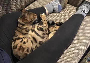 IMG_0761.jpeg IMG_0761.jpeg