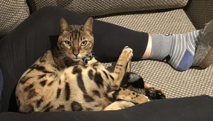 IMG_0762.jpeg IMG_0762.jpeg