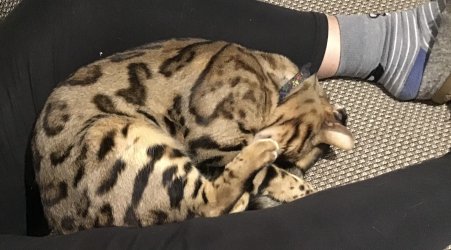 IMG_0763.jpeg IMG_0763.jpeg