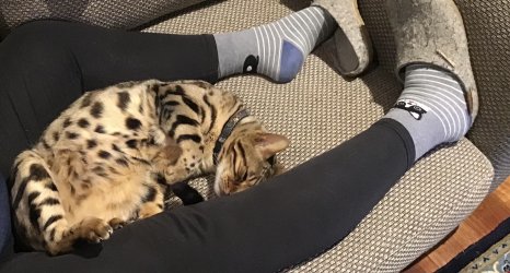 IMG_0766.jpeg IMG_0766.jpeg