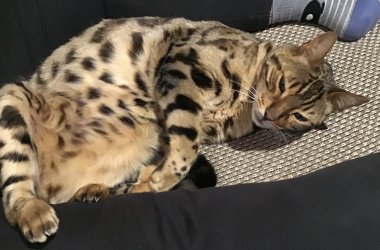 IMG_0767.jpeg IMG_0767.jpeg