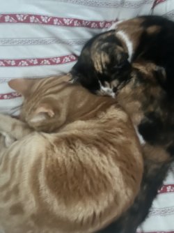 IMG_6153.jpeg IMG_6153.jpeg