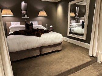 IMG_8255.jpg IMG_8255.jpg