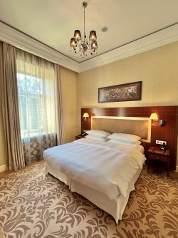 IMG_7863.jpeg IMG_7863.jpeg