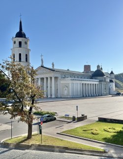 IMG_7866.jpeg IMG_7866.jpeg