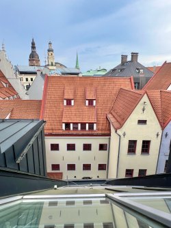 IMG_7869.jpeg IMG_7869.jpeg