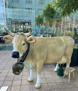 IMG_7882.jpeg IMG_7882.jpeg