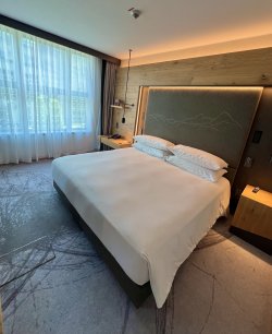 IMG_7884.jpeg IMG_7884.jpeg