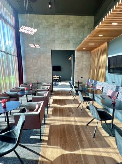 IMG_7905.jpeg IMG_7905.jpeg