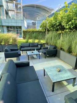 IMG_7906.jpeg IMG_7906.jpeg