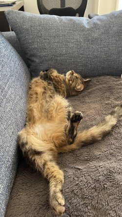 IMG_0040.jpeg IMG_0040.jpeg