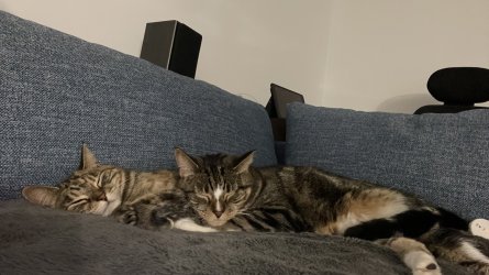 IMG_0037.jpeg IMG_0037.jpeg