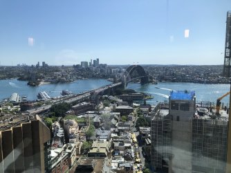 IMG_0919.jpeg IMG_0919.jpeg