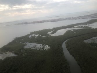 IMG_0911.jpeg IMG_0911.jpeg