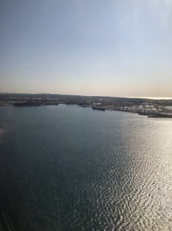 IMG_0917.jpeg IMG_0917.jpeg