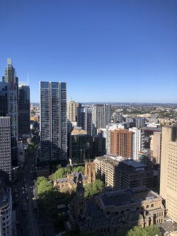 IMG_0928.jpeg IMG_0928.jpeg