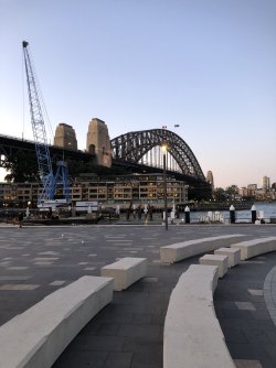 IMG_0923.jpeg IMG_0923.jpeg