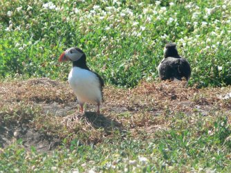 DSC02095a (4).JPG DSC02095a (4).JPG