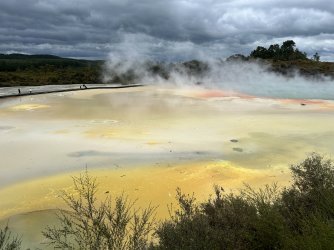 IMG_5931.jpeg IMG_5931.jpeg