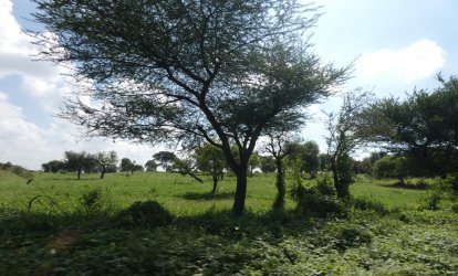 1726933619842.jpeg 1726933619842.jpeg