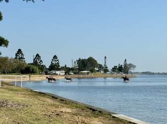 IMG_4349.jpeg IMG_4349.jpeg