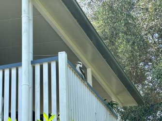 IMG_4350.jpeg IMG_4350.jpeg