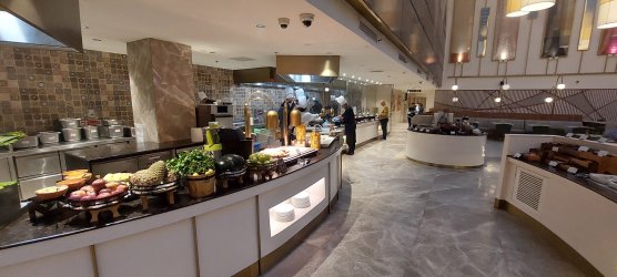 1727141919528.jpeg 1727141919528.jpeg