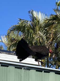 IMG_1004.jpg IMG_1004.jpg