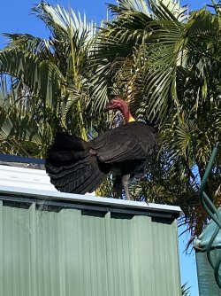 IMG_1005.jpg IMG_1005.jpg