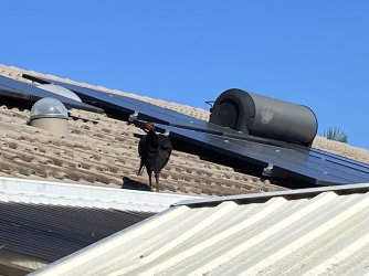 IMG_1008.jpg IMG_1008.jpg