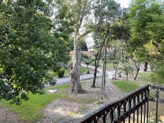 IMG_5711.jpeg IMG_5711.jpeg