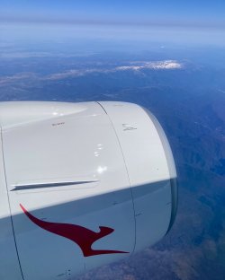 IMG_2709.jpeg IMG_2709.jpeg