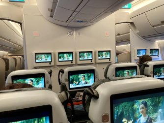 IMG_2715.jpeg IMG_2715.jpeg