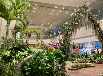 IMG_2717.jpeg IMG_2717.jpeg