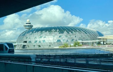 IMG_2718.jpeg IMG_2718.jpeg